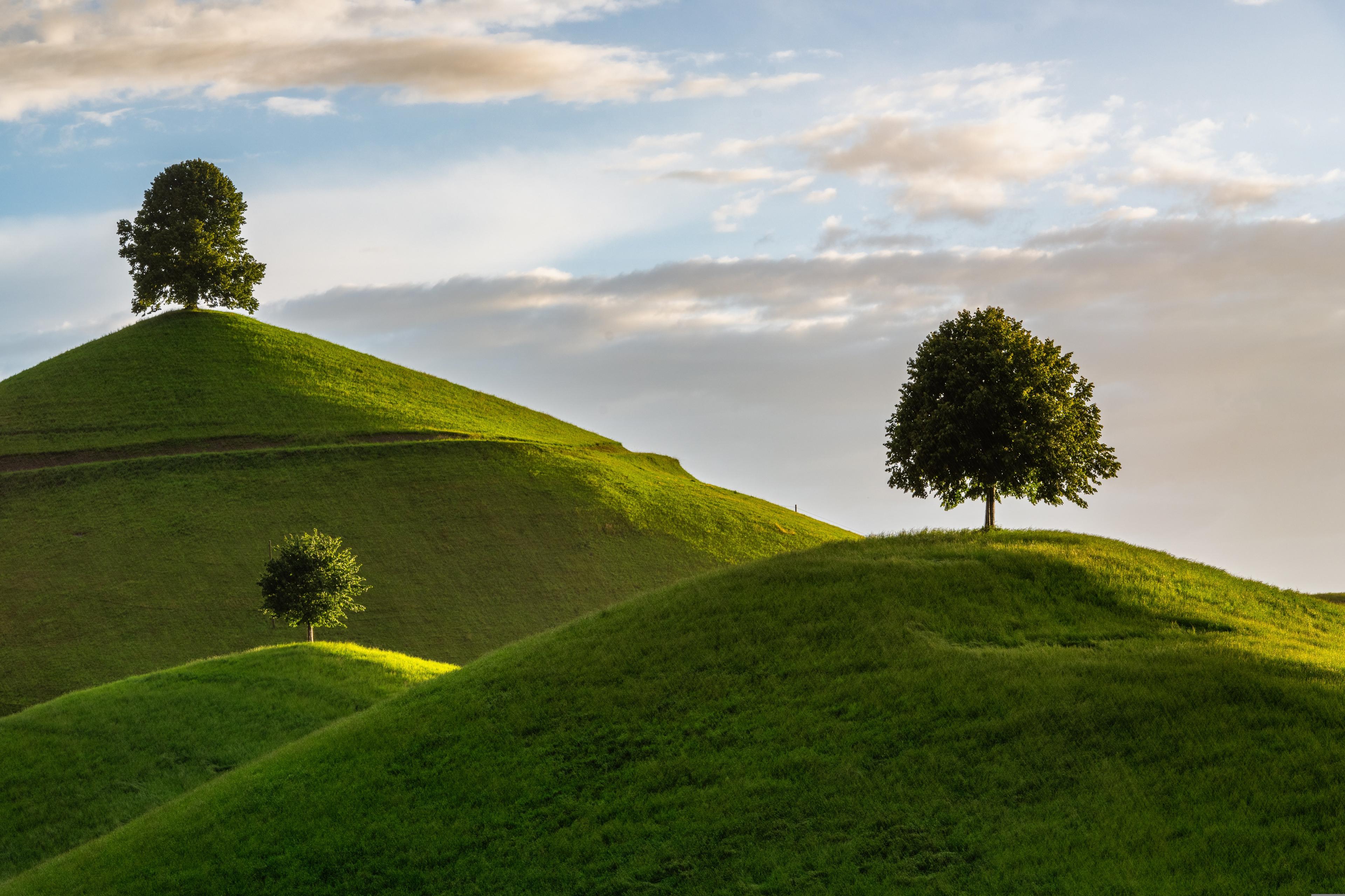 Emese Koltai Landscape Architecture